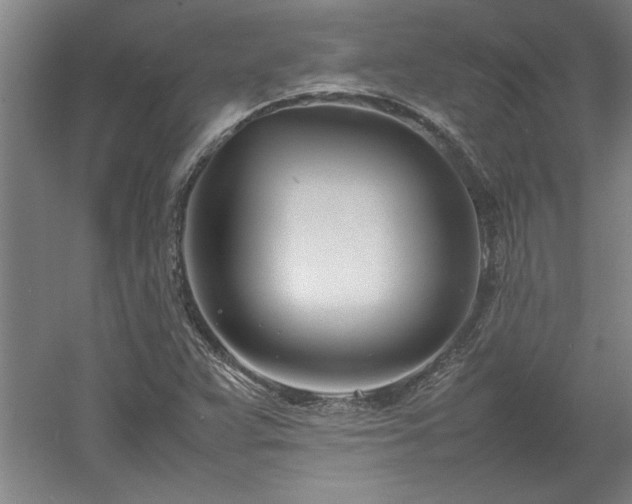 X0000052991359200507151844