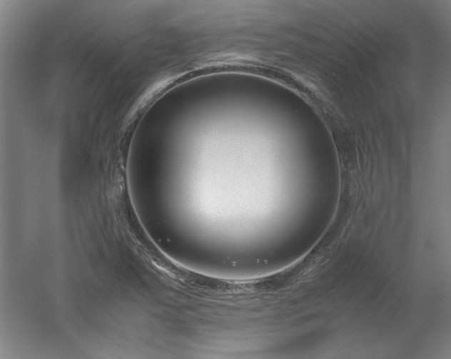 X0000052991363200507151844