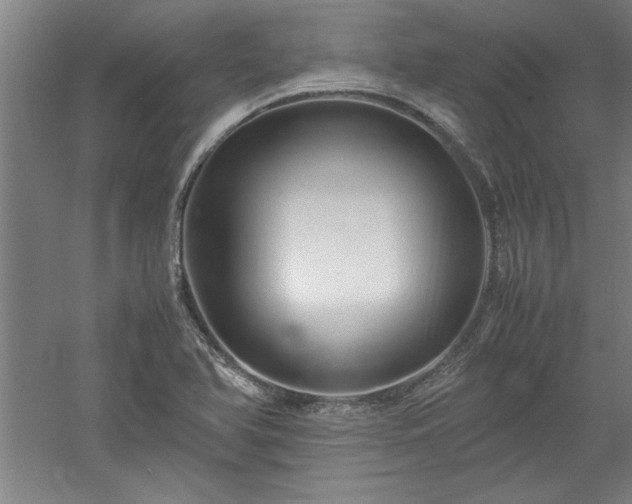 X0000052991366200507151844