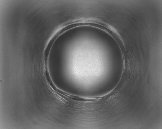 X0000052991368200507151844