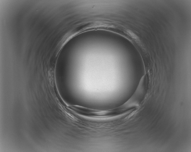 X0000052991369200507151844