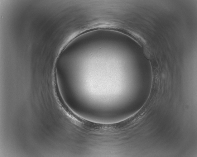X0000052991375200507151844