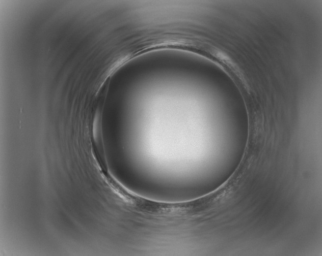 X0000052991377200507151844