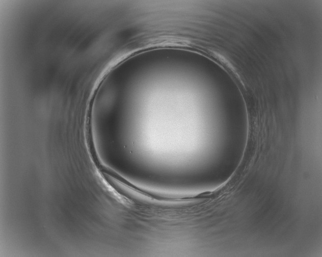 X0000052991379200507151844
