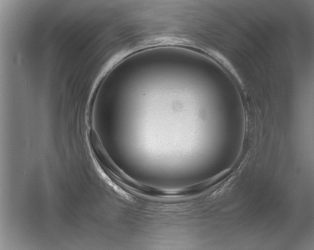 X0000052991381200507151844