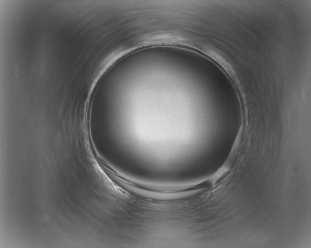 X0000052991392200507151843