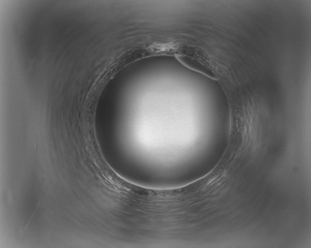 X0000052991393200507151843