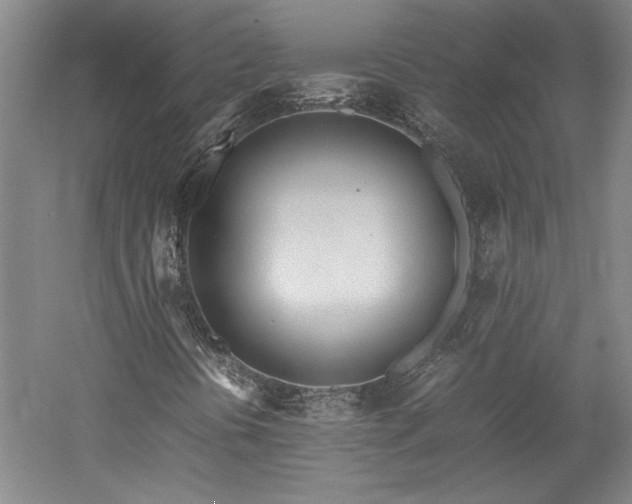X0000052991394200507151843