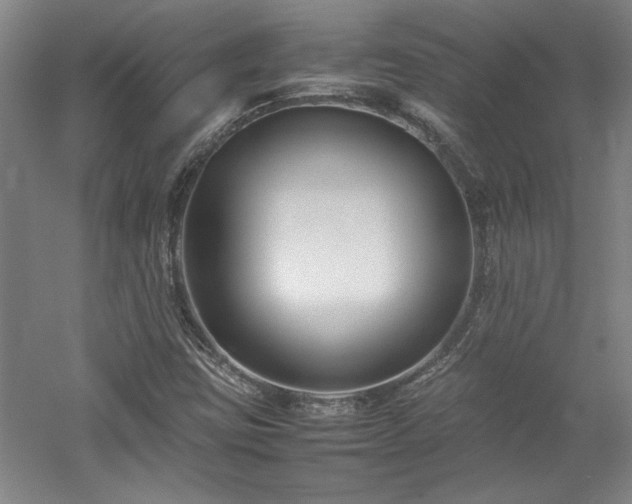 X0000052991403200507151843