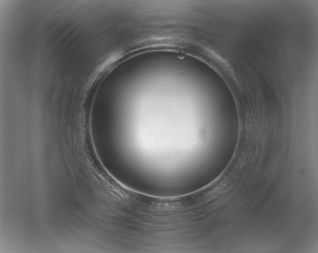 X0000052991411200507151843