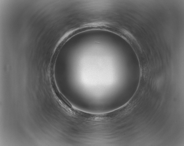 X0000052991412200507151843