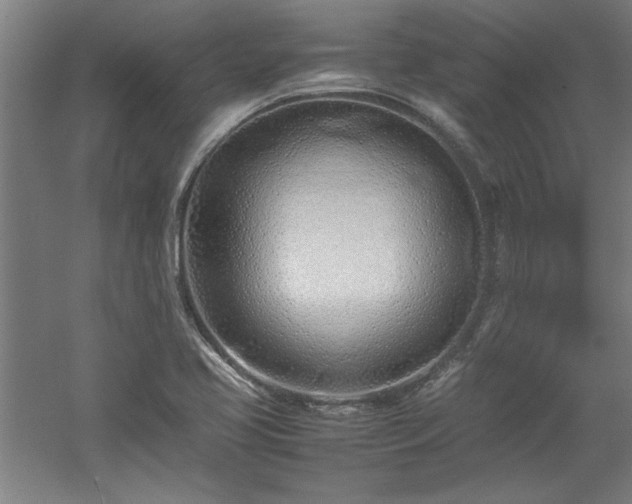 X0000052991413200507151843