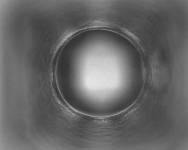 X0000052991415200507151843