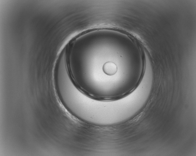 X0000052991422200507151843