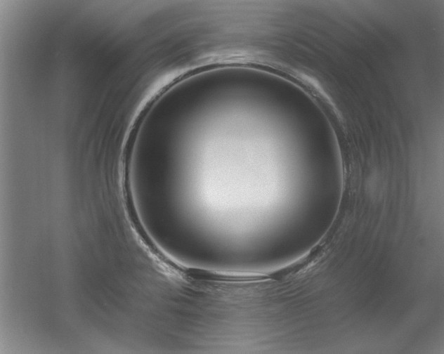 X0000052991424200507151843