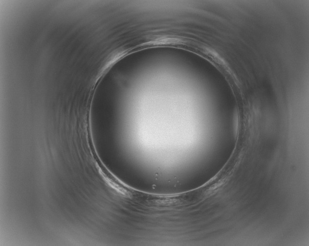 X0000052991425200507151843