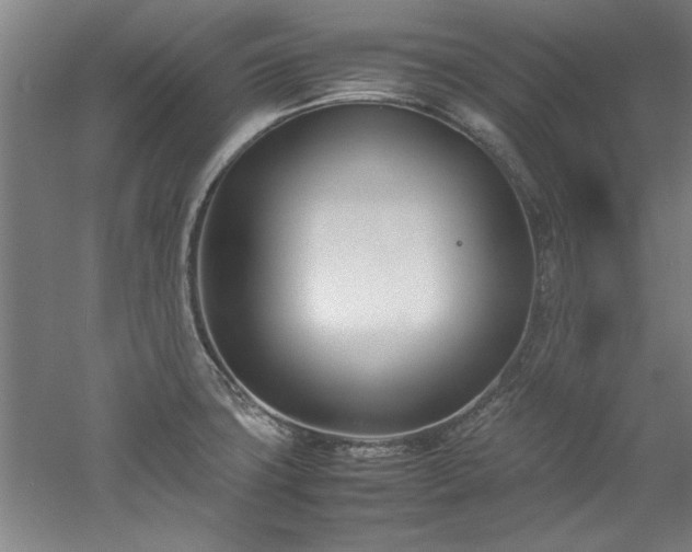 X0000052991427200507151843