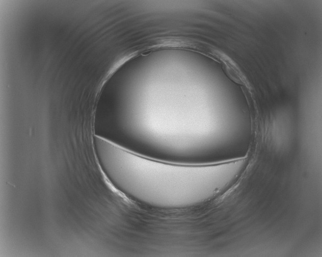 X0000052991433200507151843
