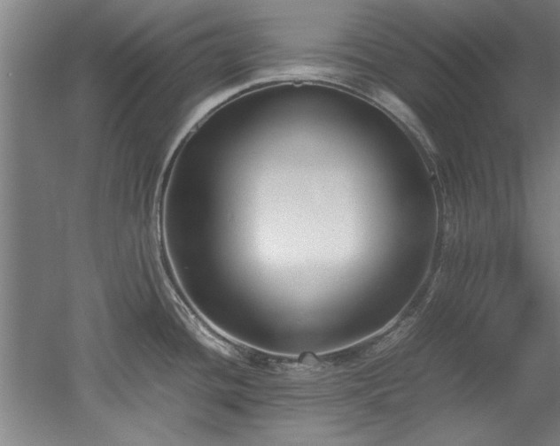 X0000052991436200507151843