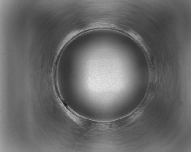 X0000052991438200507151843