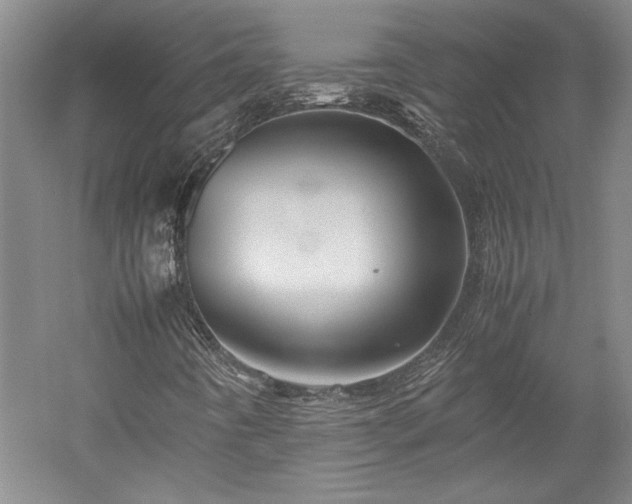 X0000052991442200507151843