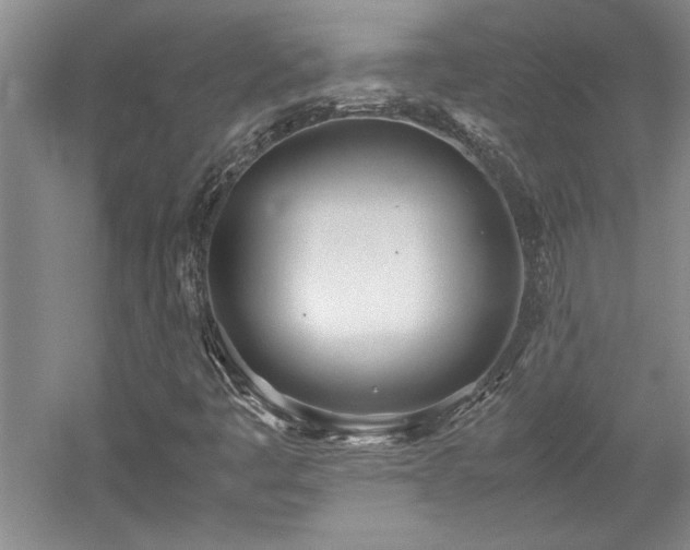 X0000052991445200507151842