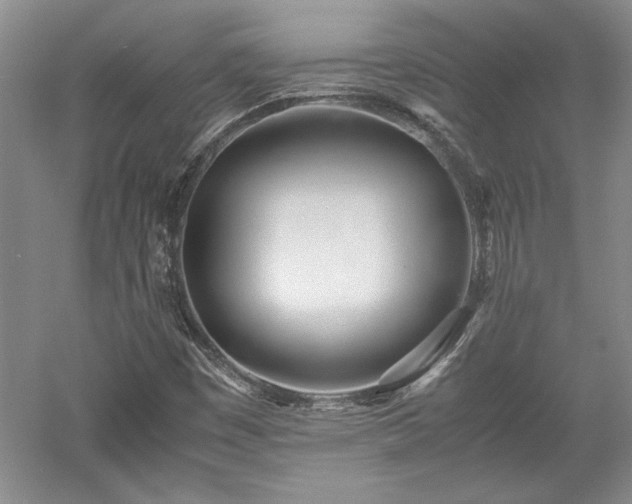 X0000052991449200507151842