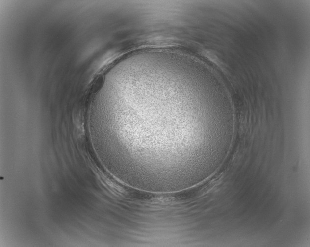 X0000052991451200507151842