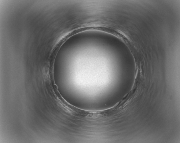 X0000052991452200507151842