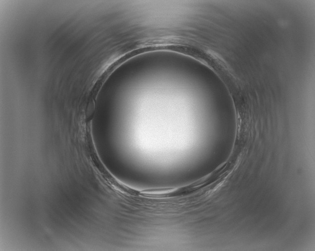 X0000052991457200507151842