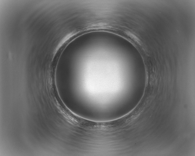 X0000052991458200507151842