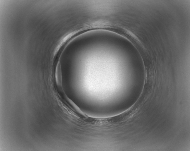 X0000052991461200507151842