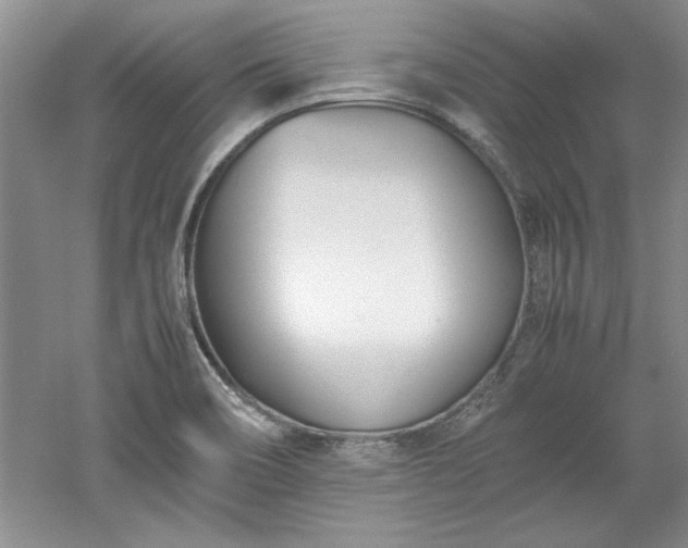 X0000052991466200507151842