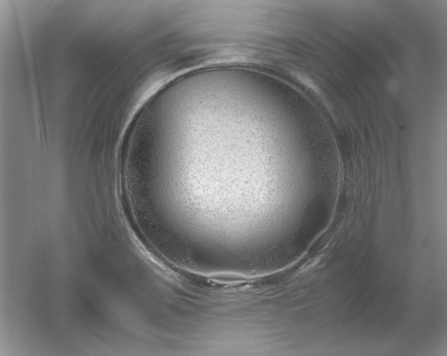 X0000052991467200507151842