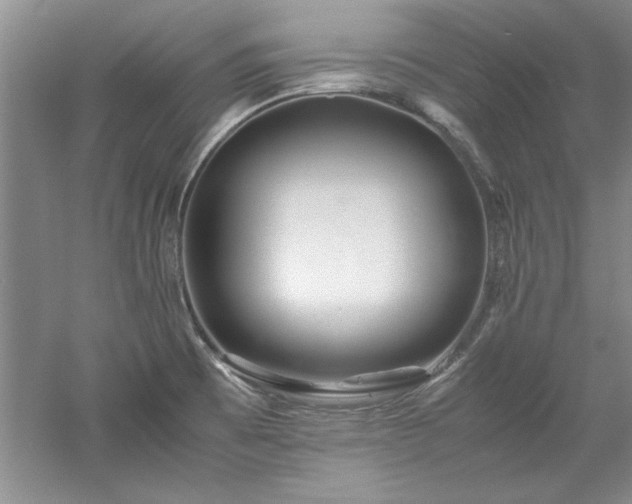 X0000052991473200507151842