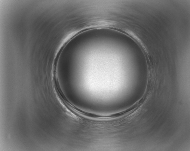 X0000052991477200507151842