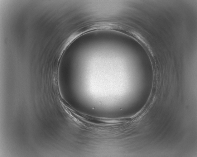 X0000052991481200507151842