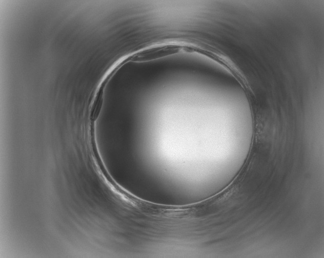 X0000052991484200507151842