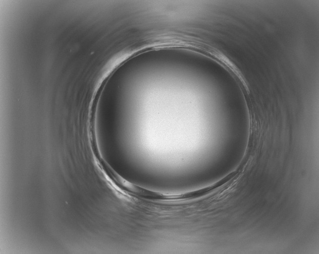 X0000052991485200507151842