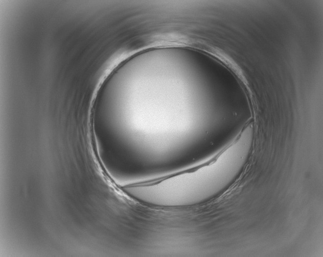X0000052991488200507151842