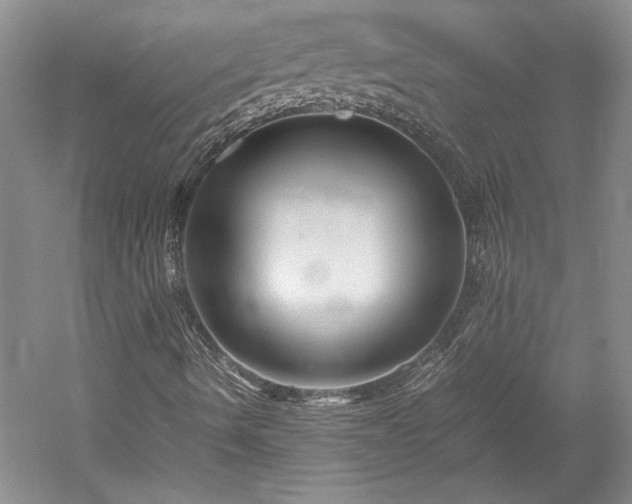 X0000052991490200507151841