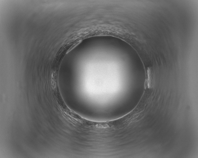 X0000052991491200507151841