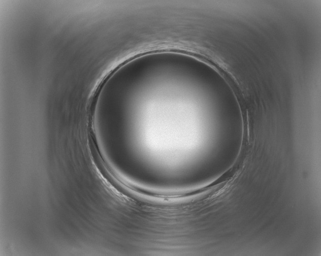 X0000052991500200507151841