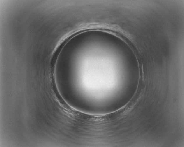 X0000052991501200507151841
