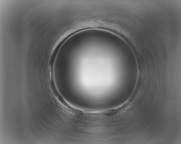 X0000052991509200507151841
