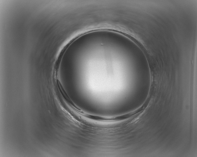 X0000052991510200507151841