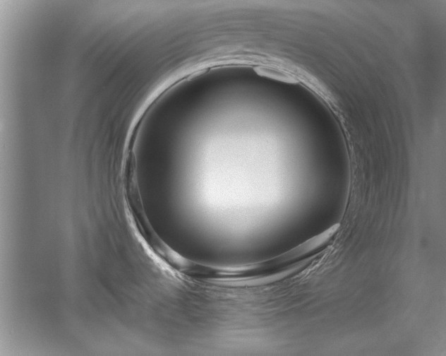 X0000052991536200507151842
