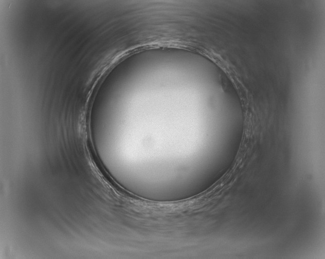 X0000052990002200507221233