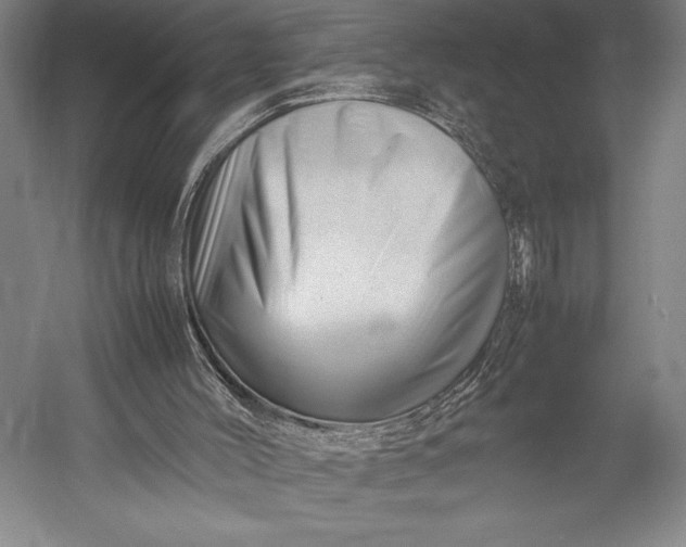 X0000052990004200507221233