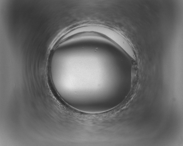 X0000052990007200507221233